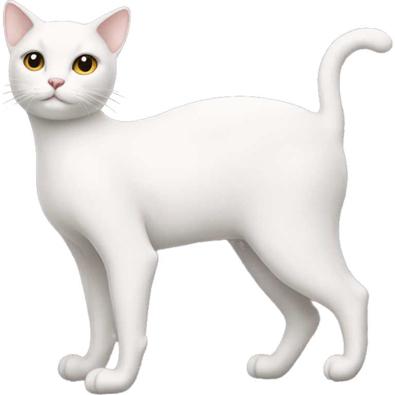 Ballerina white cat emoji