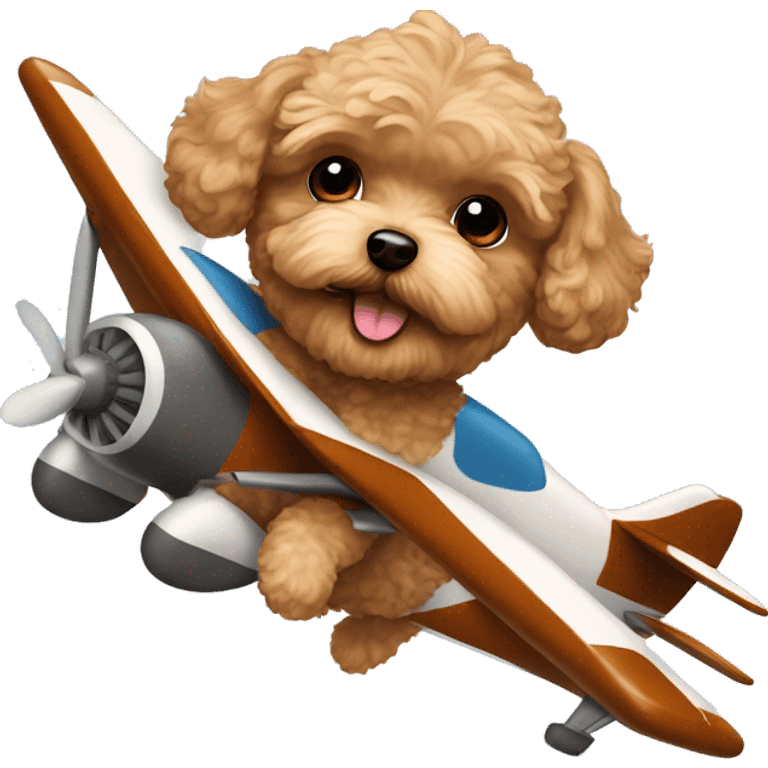 Brown Maltipoo flying a plane emoji