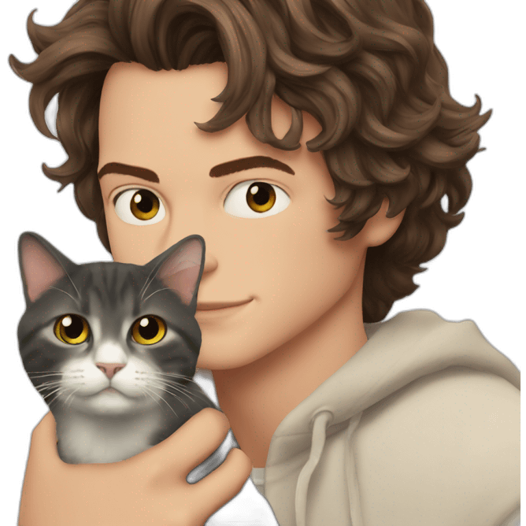 Harry Styles with a cat emoji