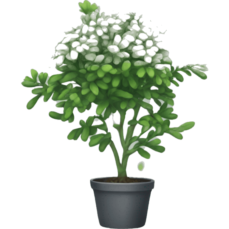 Rue plant emoji