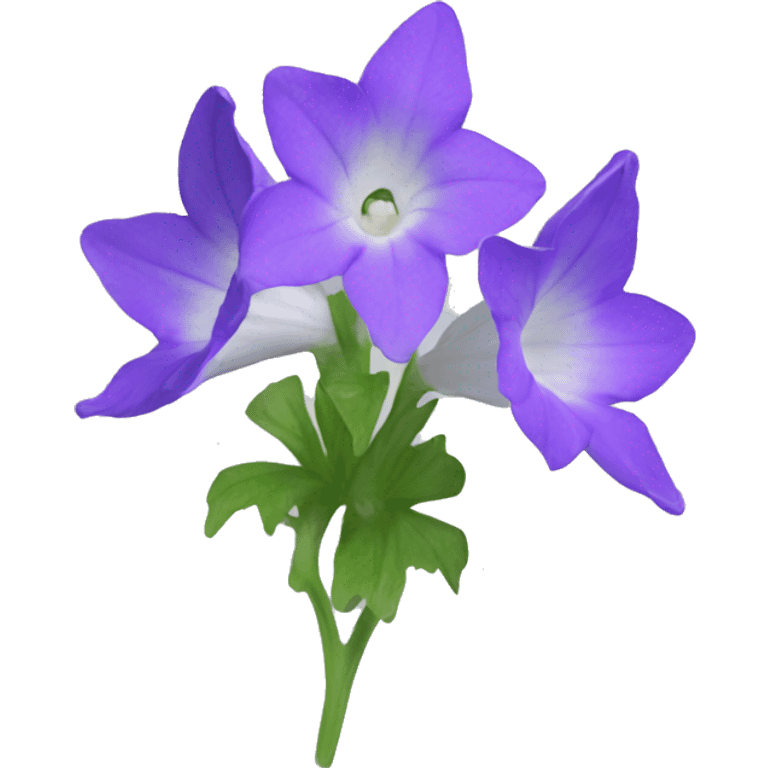 Campanula emoji