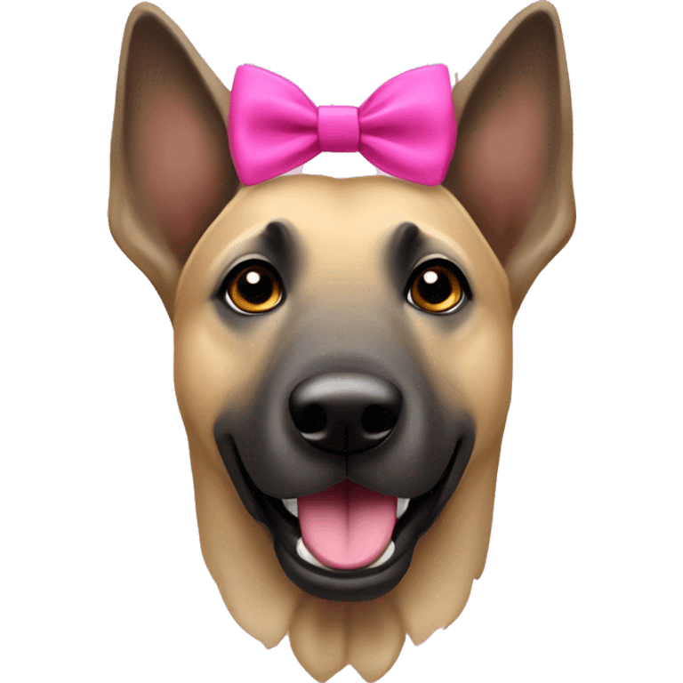 Belgian malinos with pink bow on neck emoji