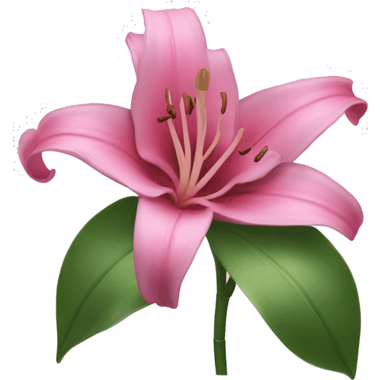 pink lilly flower  emoji