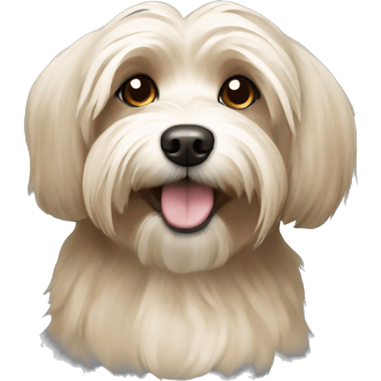 Tan havanese dog emoji