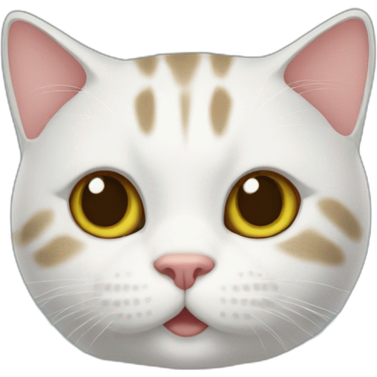 bingus cat emoji