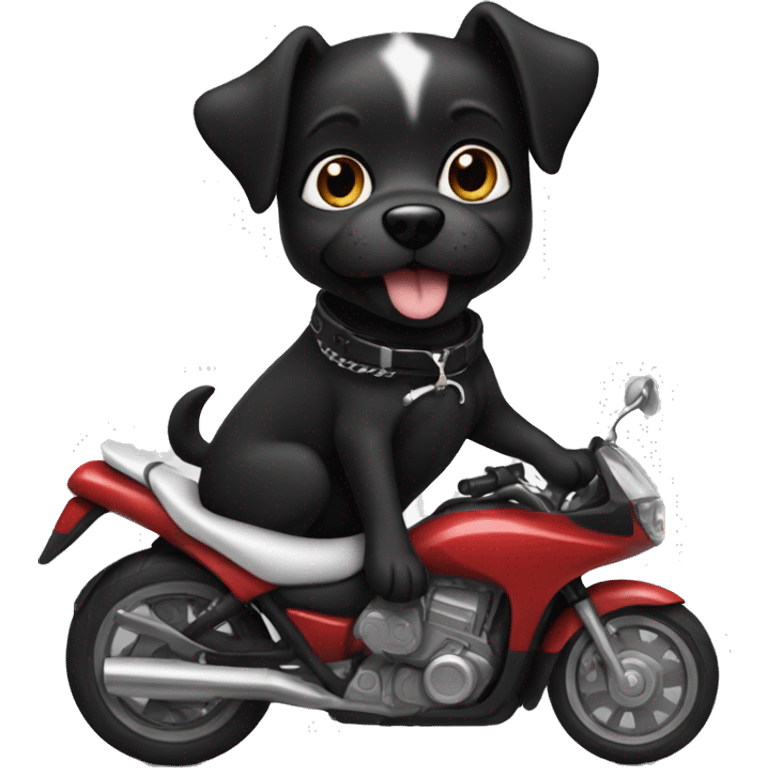 Black dog with white on her chest and toes riding a motorcycle  emoji