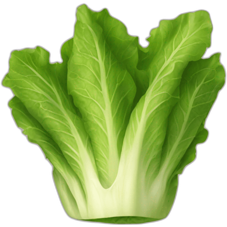 lettuce cup emoji