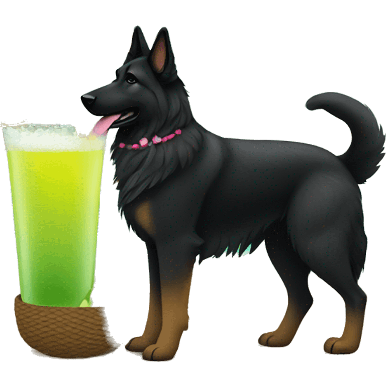 Black long haired german shepherd on the beach under a tiki hut with a margarita  emoji