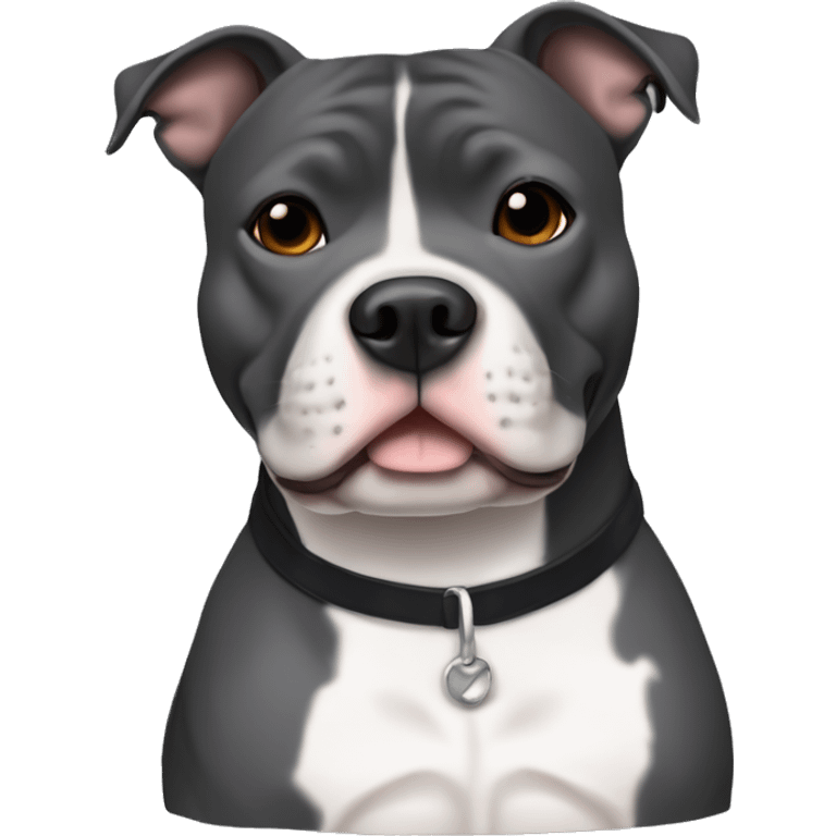 Full body of Small dark grey Staffordshire bull terrier with a white j on his chest emoji