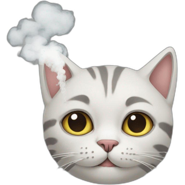 cat who smoke emoji