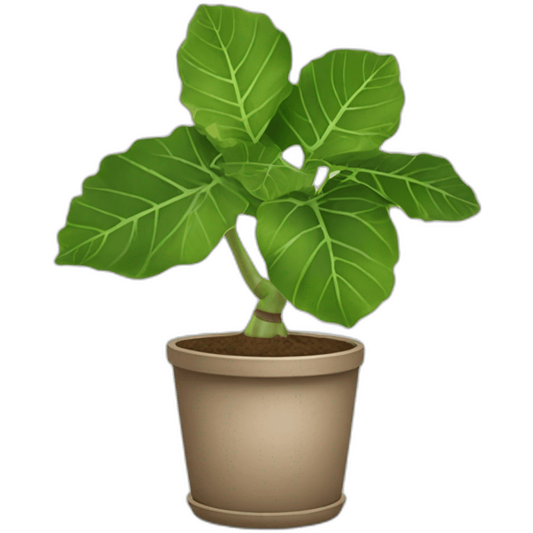 fiddle-fig-houseplant-in-pot emoji