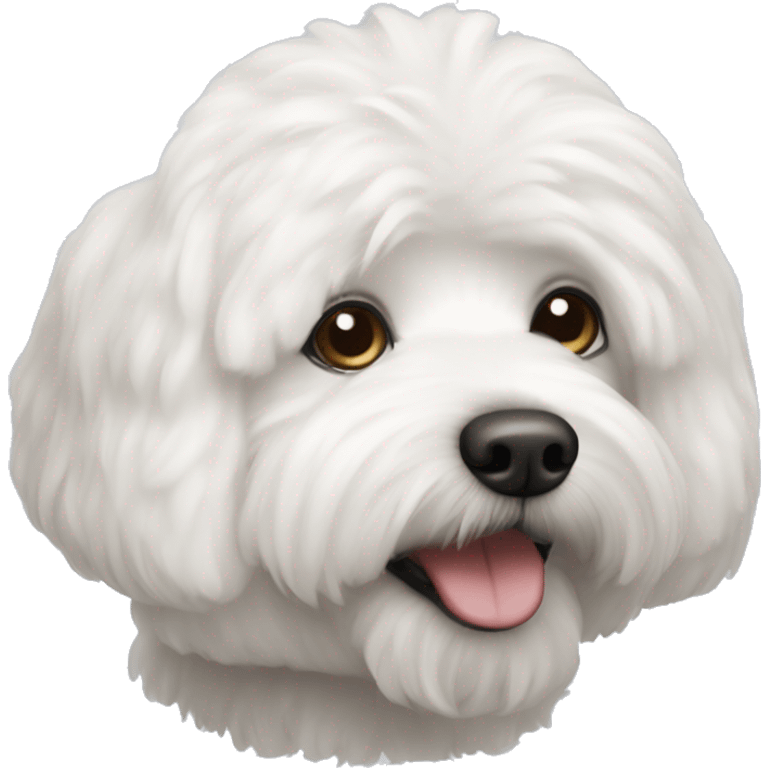 Bishon frise dog emoji