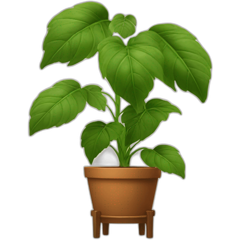 plant with big stems and big leaves in a brown flower pot on a stand in golden with four feet emoji