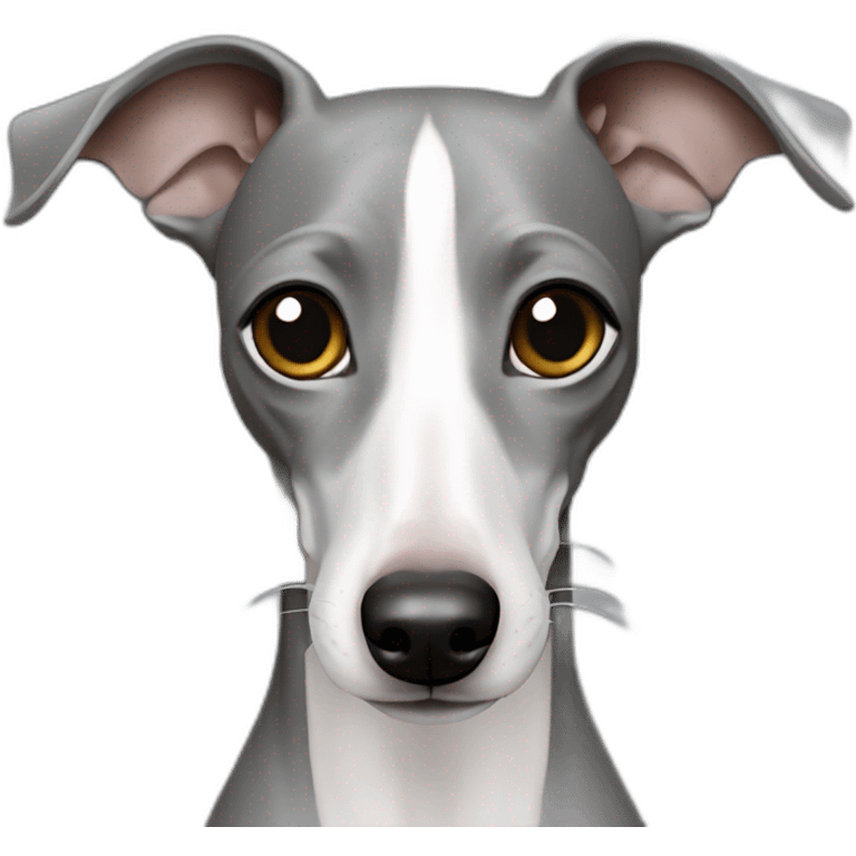 Italian greyhound grey emoji