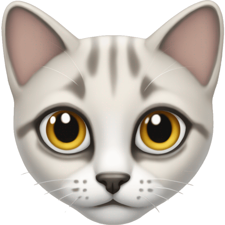 chat siamois emoji