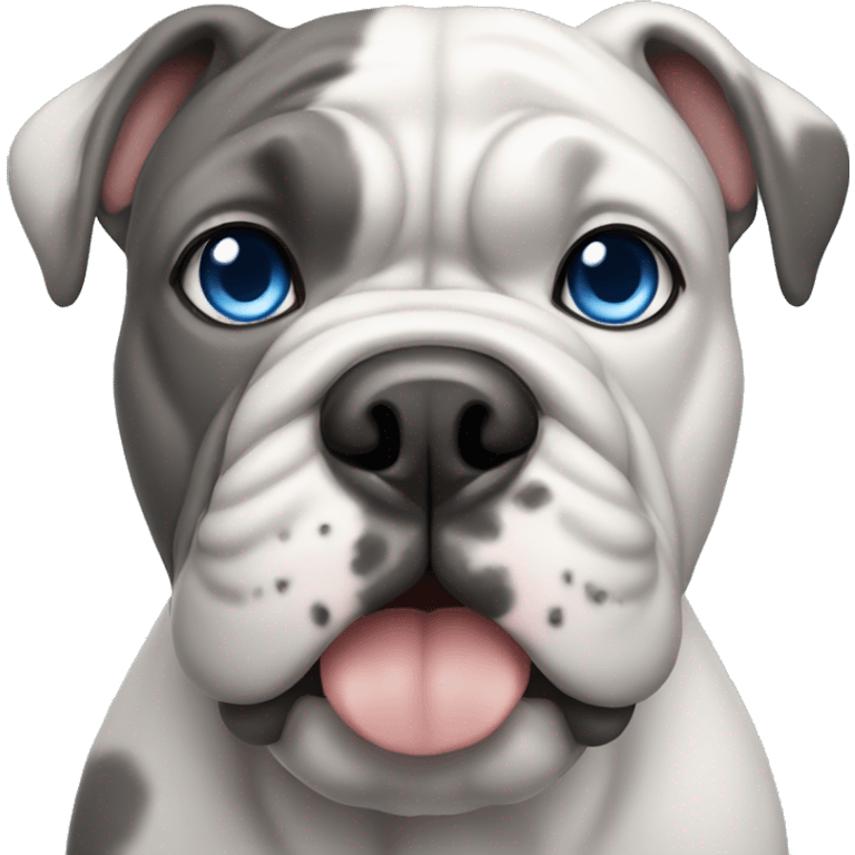 grey bulldog with blue eyes emoji