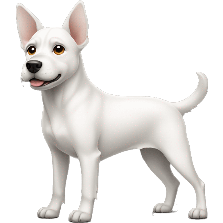 White dog with pointy ears emoji