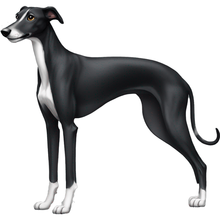 sitting down black greyhound emoji