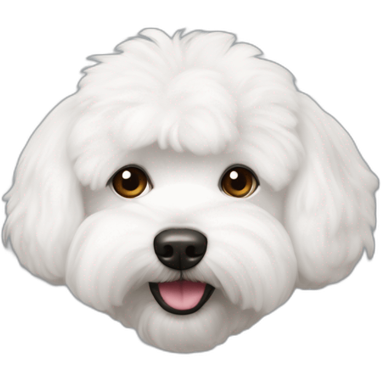 Bichon maltés emoji