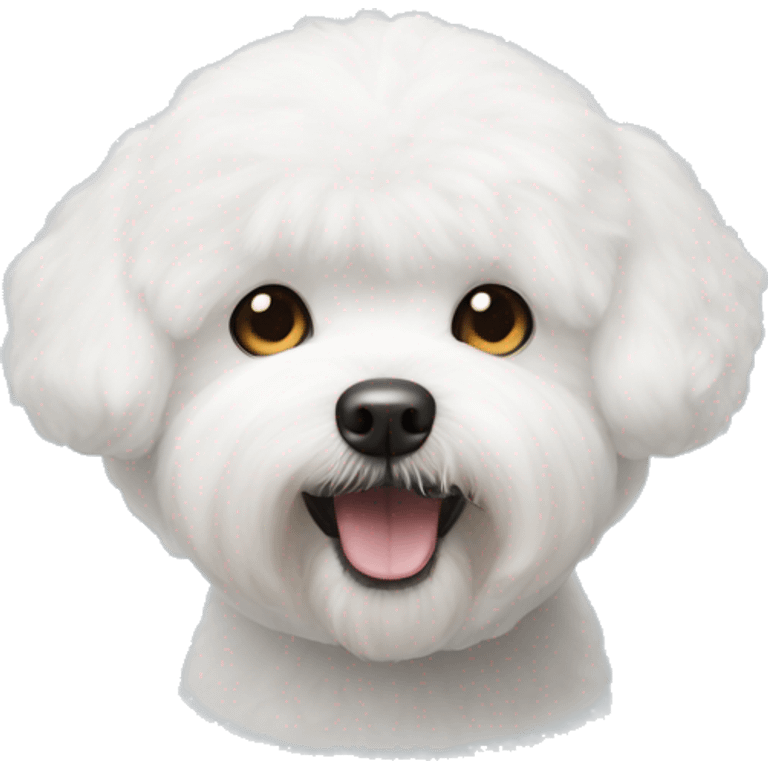 White bichon frise face emoji