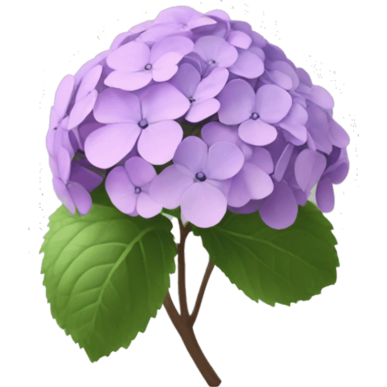 generate slack emoji image for "Hydrangea macrophylla" with larger fetal emoji