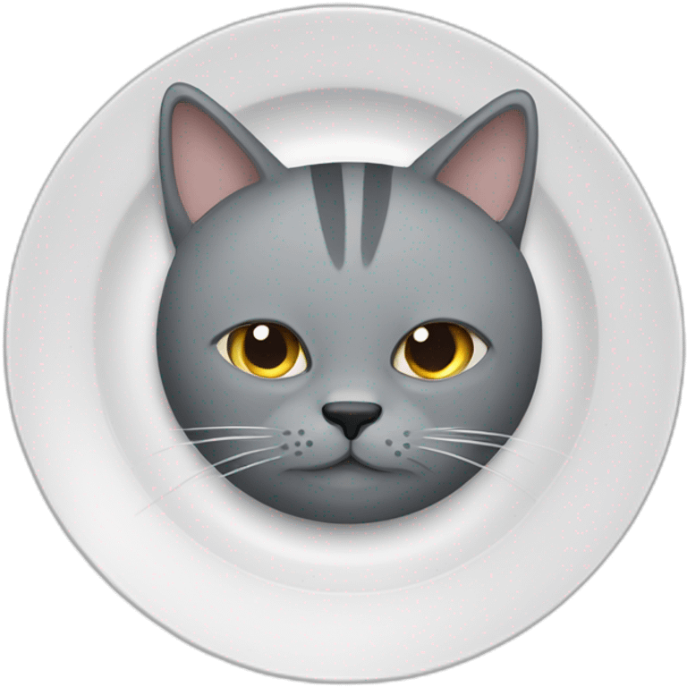 hungry-grey-cat-near-empty-plate emoji