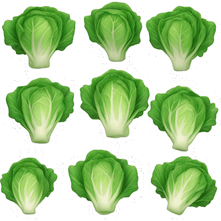 cabbage emoji