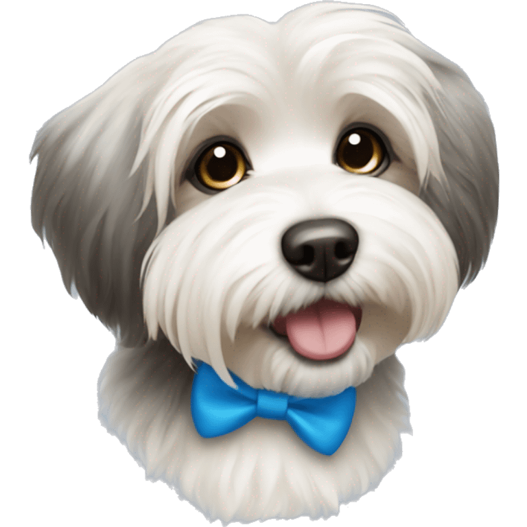 havanese dog with blue bow emoji