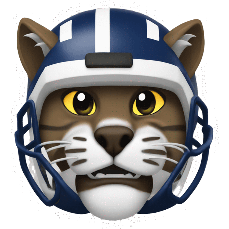 wildcat football emoji