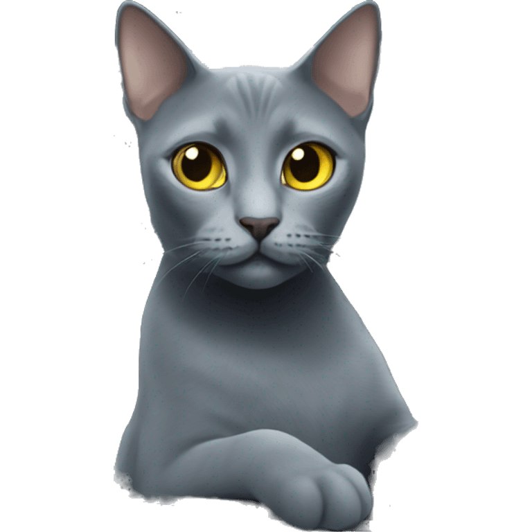 Russian blue cat in a car emoji