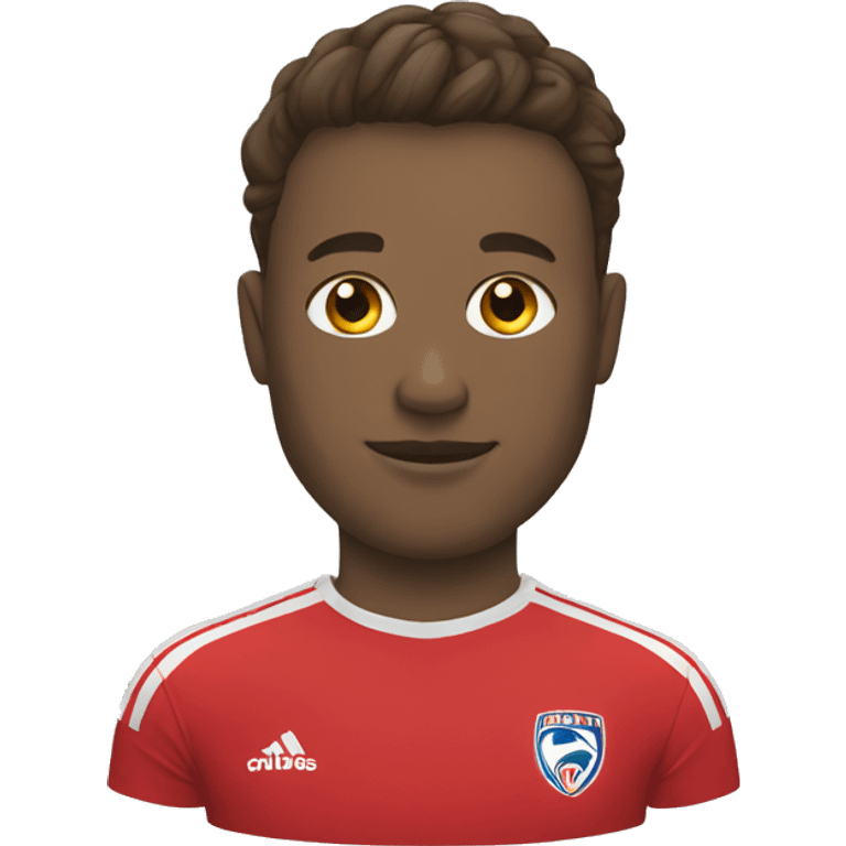 Lille foot emoji