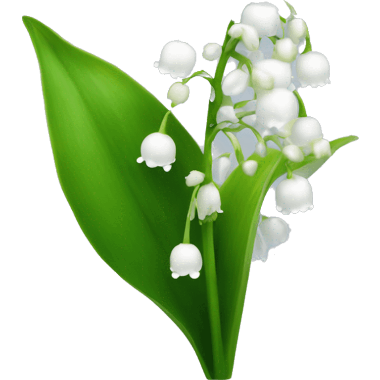 Lily of the valley flower white with green stem and clear frost droplets on the flower  emoji