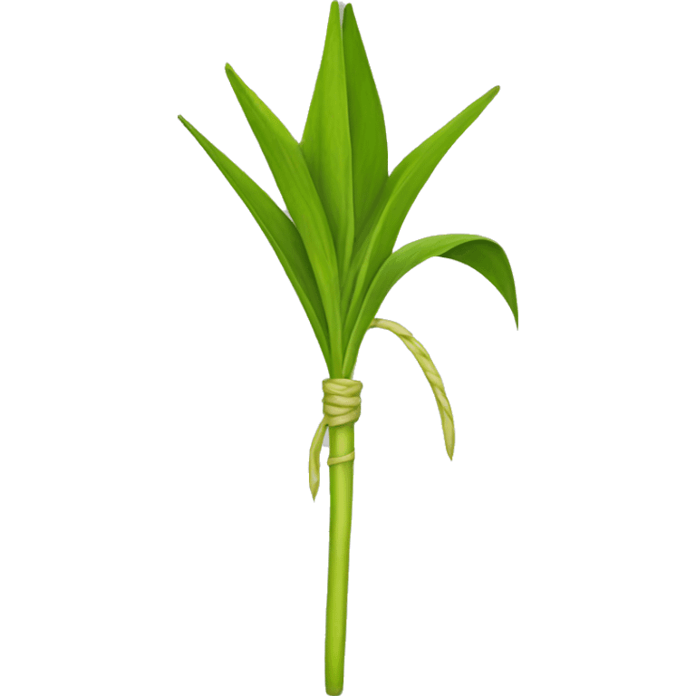 Lulav emoji