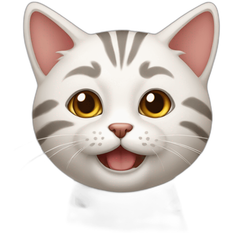 Li hua cat emoji