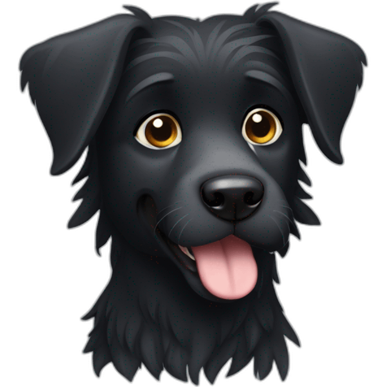 black griffon dog with really not much white hairs only under mouth and on eyebrows emoji