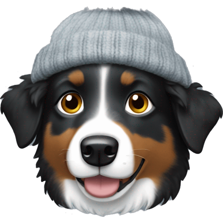 Small black australian shepherd dog wearing a knit cap emoji