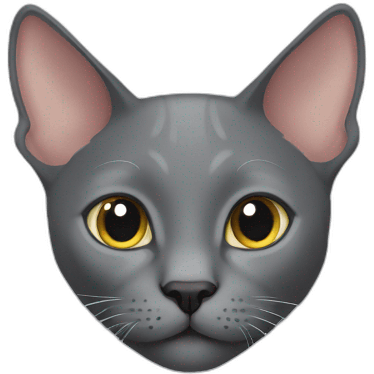 cute korat cat emoji