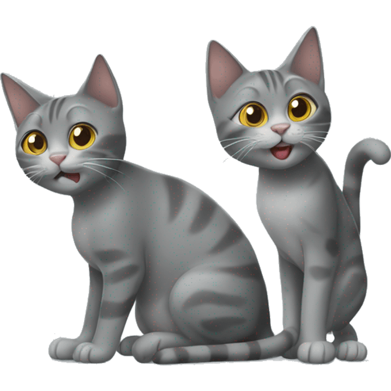 two gray cats playing  emoji