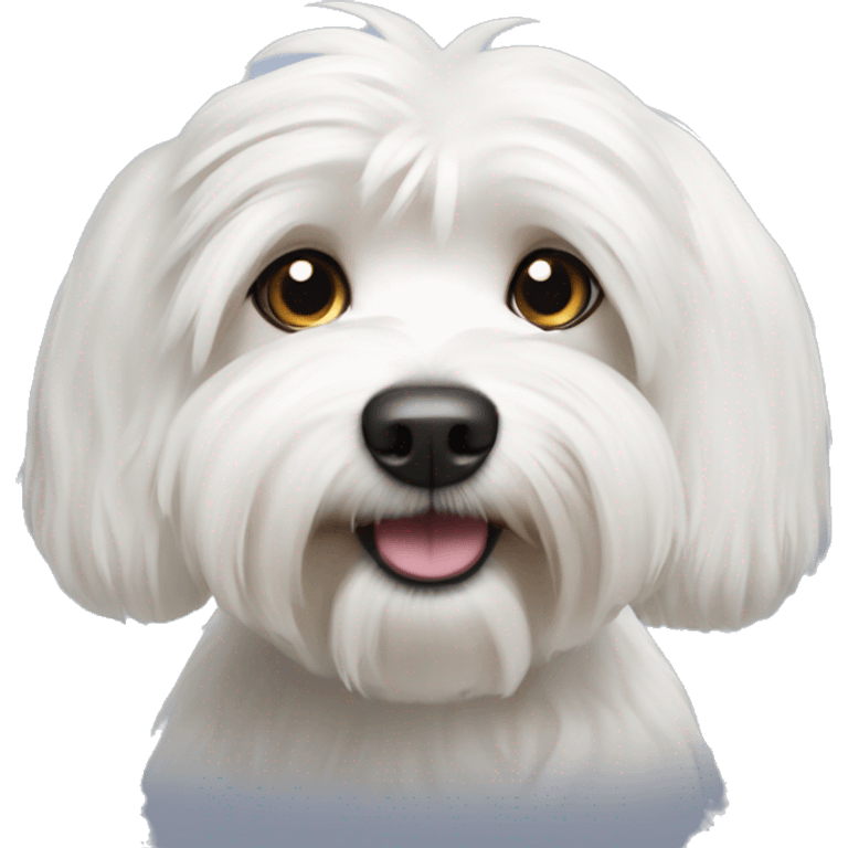 White havanese dog emoji