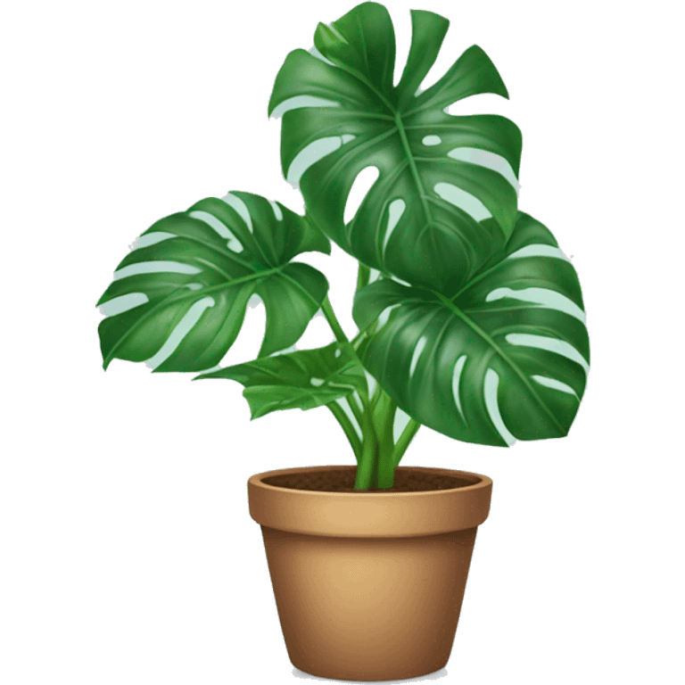 Potted monstera plant emoji