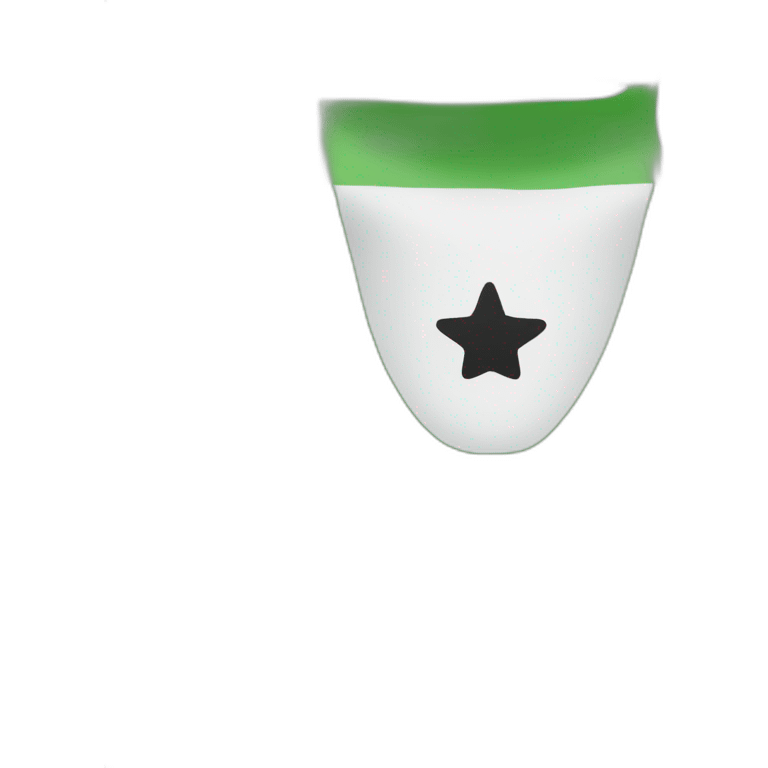 A flag consisting of three sections in width, the upper section is green and the middle section is white. It contains: Three stars next to each other, and the lower part is black emoji