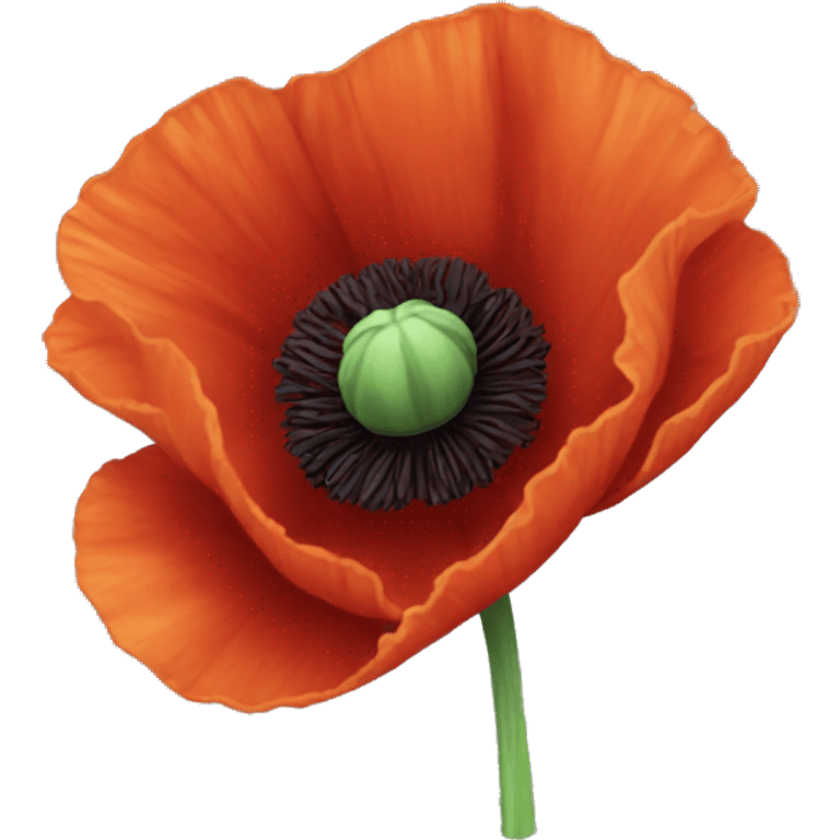 Poppy flower  emoji