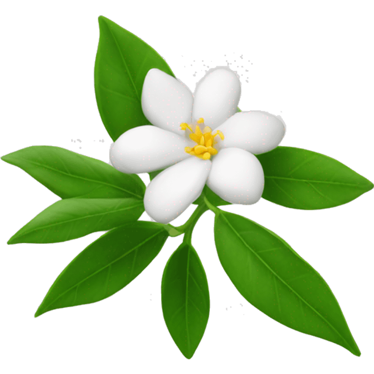 Jasmin flower tunisia  emoji