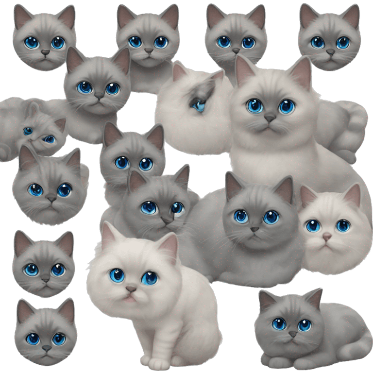 emoji original persian blue point blue eyes emoji