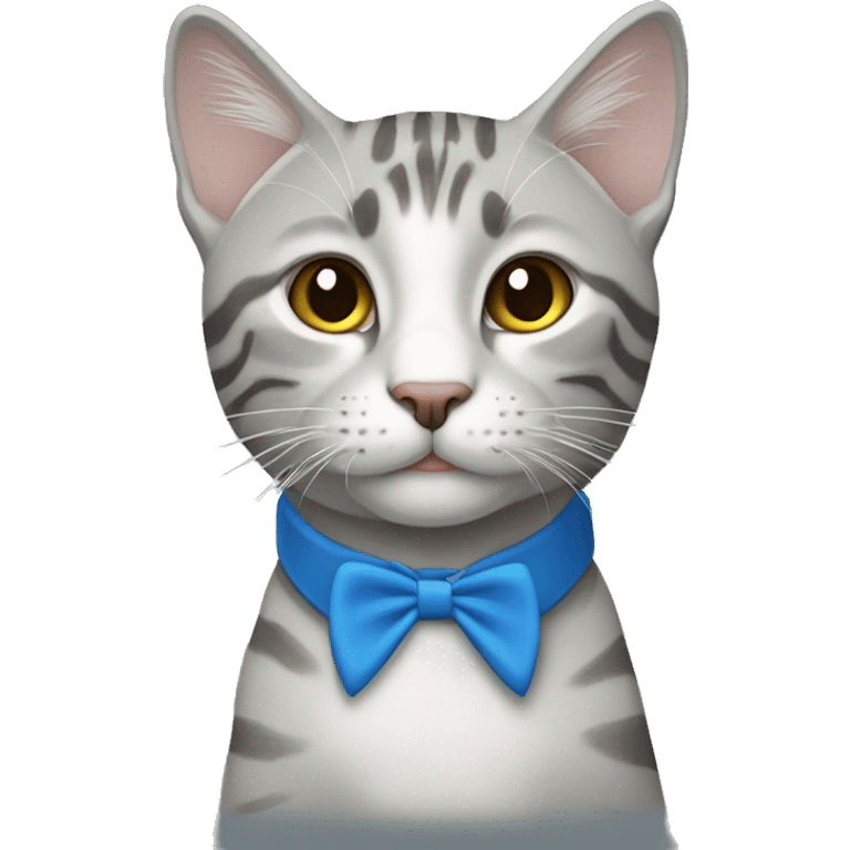  Light Grey tabby with blue collar emoji