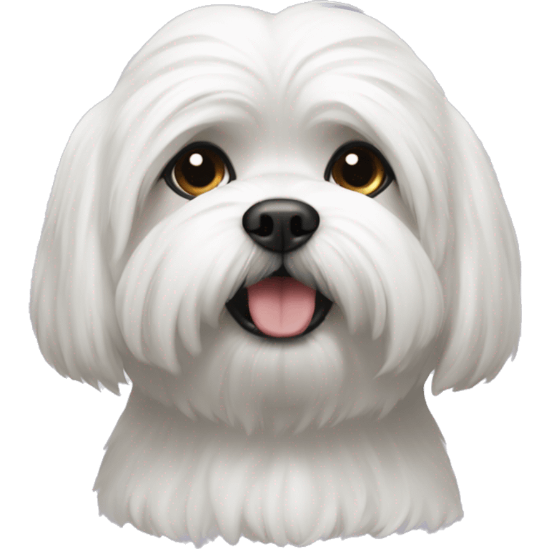 White lhasaapso emoji