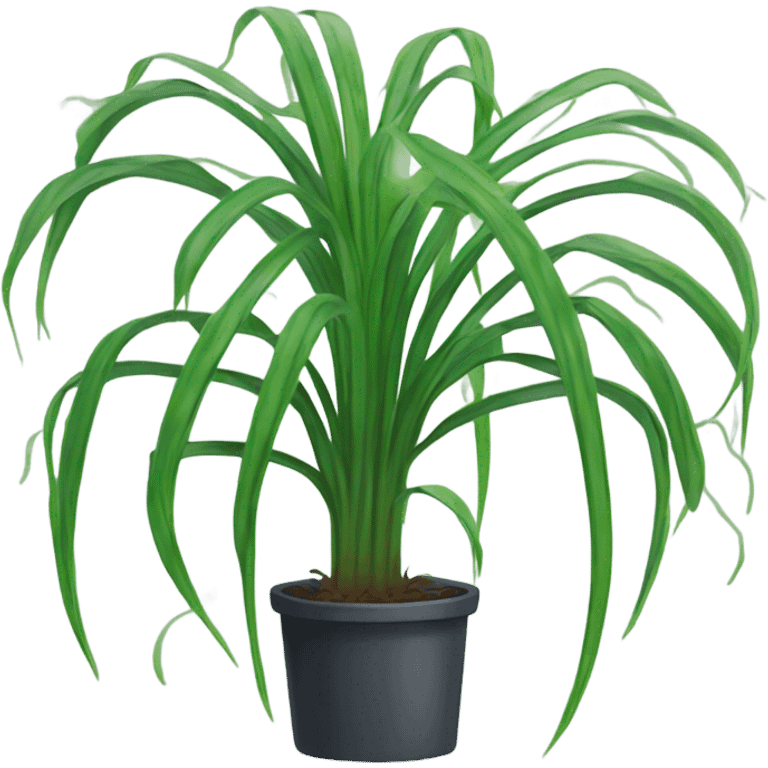 Cartoon spider plant emoji