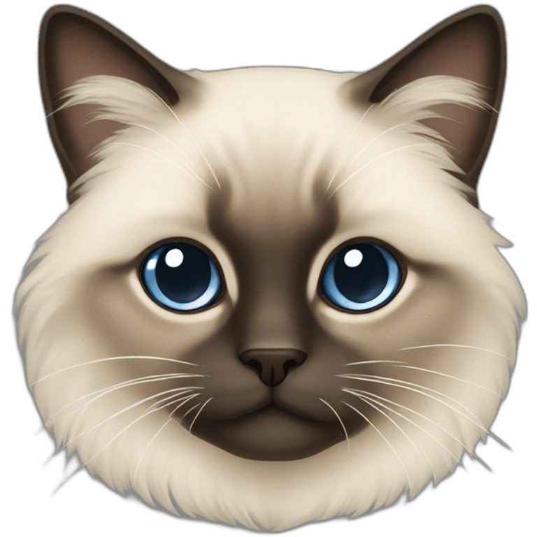 fluffy siamese cat  emoji