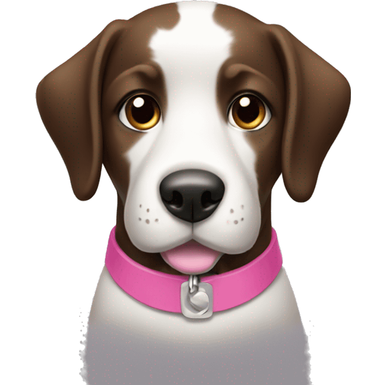 black and white dog with a pink collar and brown eyes  emoji