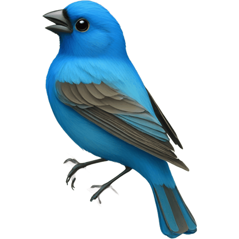 Indigo bunting emoji